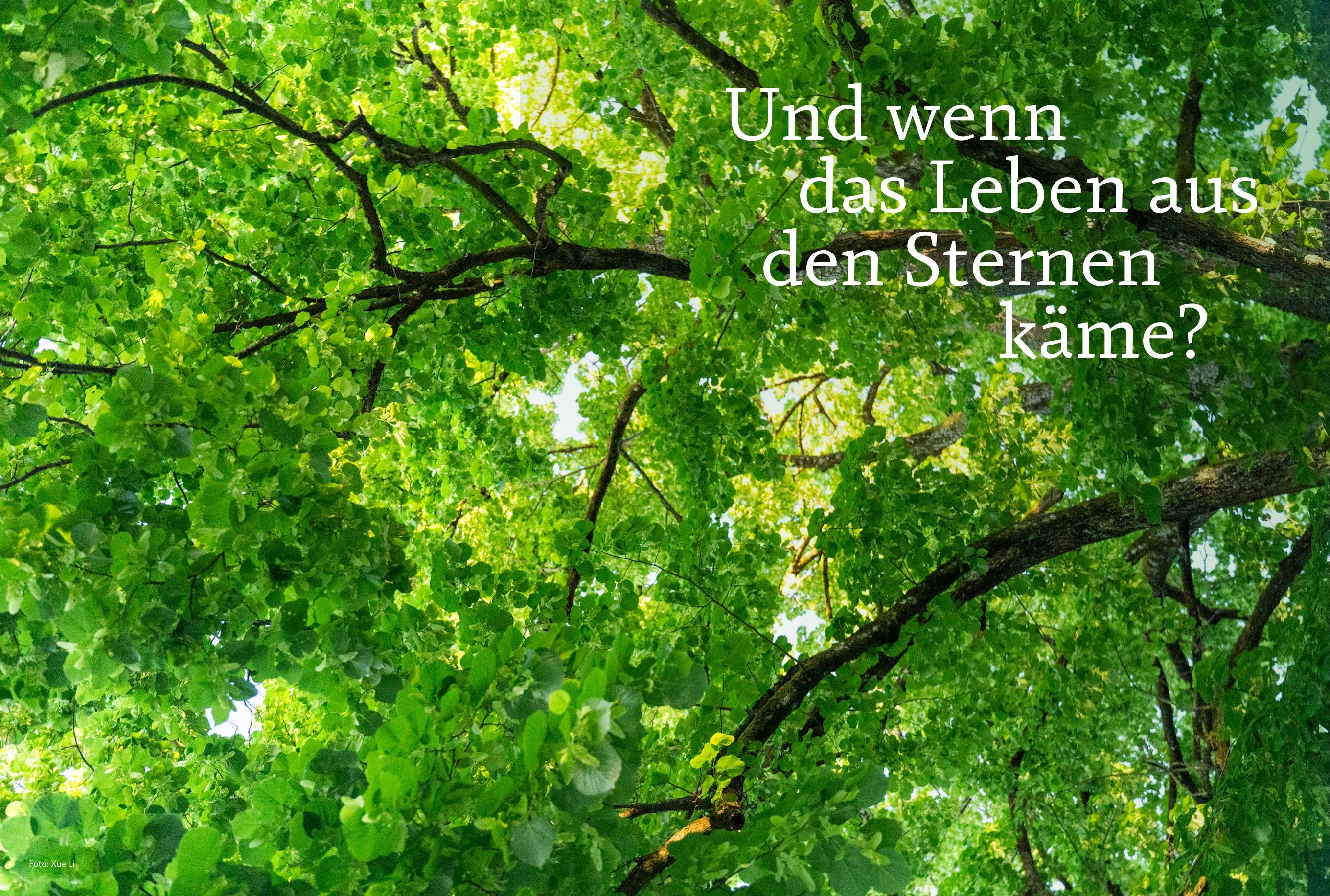 Ausgabe 23 – Bäume · «Und wenn das Leben aus den Sternen käme?»